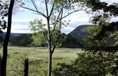 Iona Island marsh + Anthony's Nose