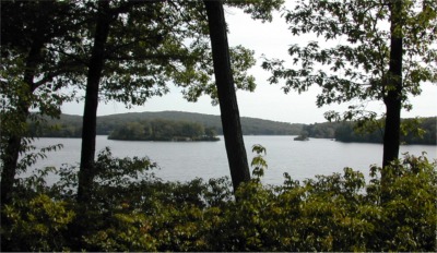 islands on Lake Tiorati